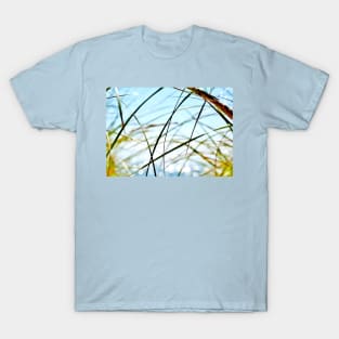 Wispy Beach Grass T-Shirt